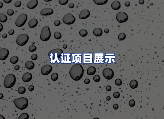 认证项目展示